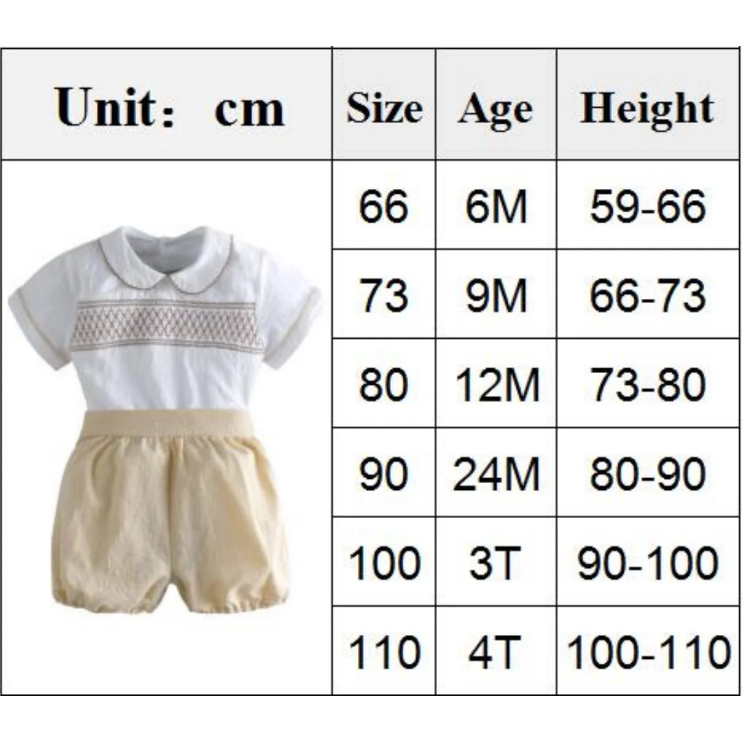 Toddler Boy Summer Outfit – Cotton Shirt & Shorts Set (2PCS)