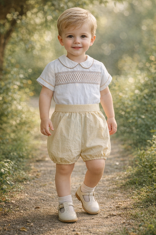 Toddler Boy Summer Outfit – Cotton Shirt & Shorts Set (2PCS)